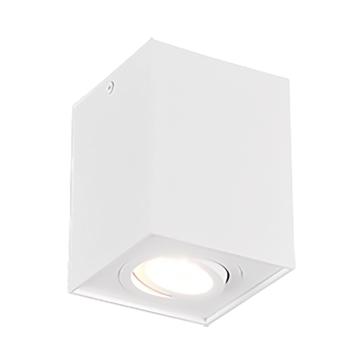 Corpuri de iluminat - PLAFONIERA BISCUIT EXCL.1XGU10 | 613000131