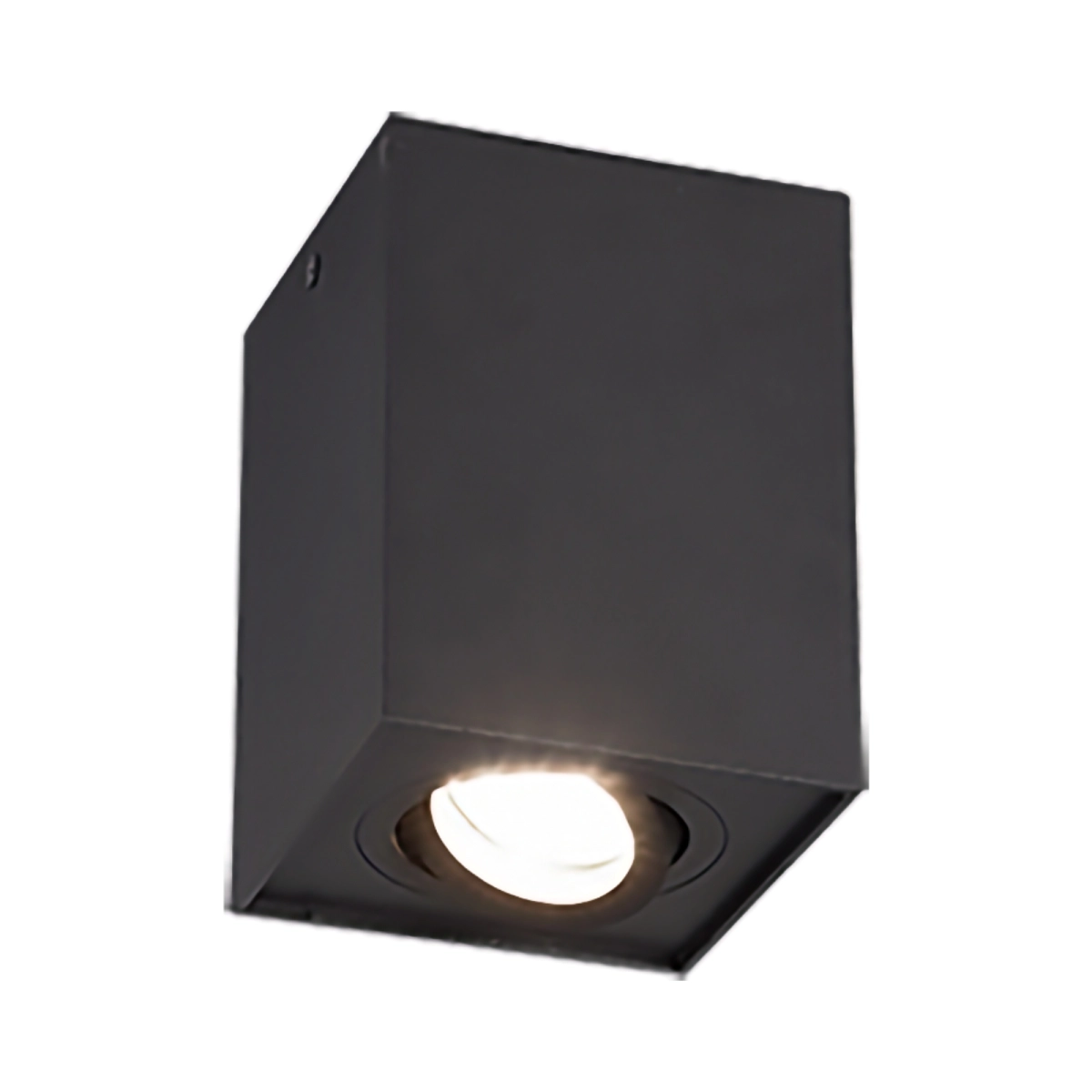 Corpuri de iluminat - PLAFONIERA BISCUIT EXCL.1XGU10 | 613000132
