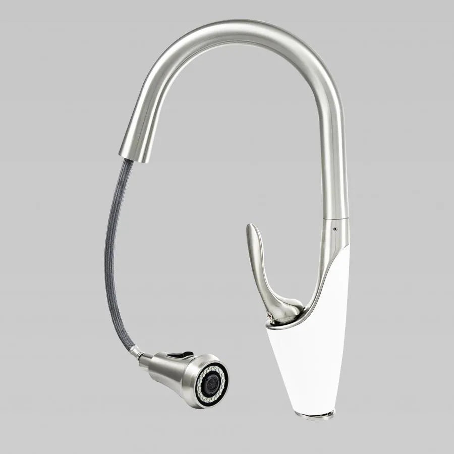 Baterie Bucatarie cu Dus Extractibil, Alama Sanitara, Crom, W054 [3]