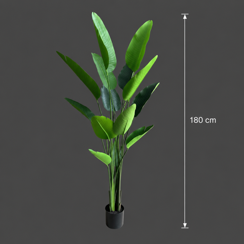 Decoratiune Strelitzia Nicolai, 180 cm, 13 frunze, Verde [4]