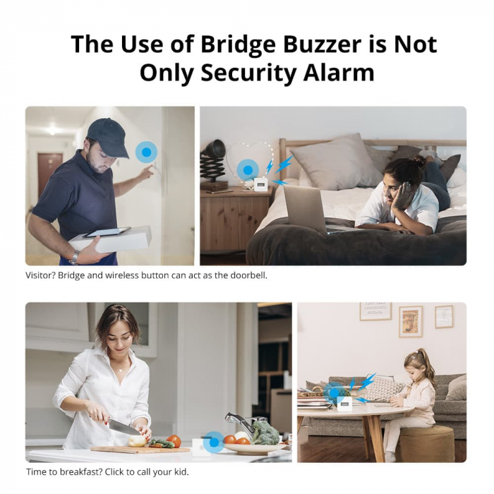 Hub Smart Zigbee Sonoff ZB Bridge-P, Pro, Zigbee 3.0 [8]