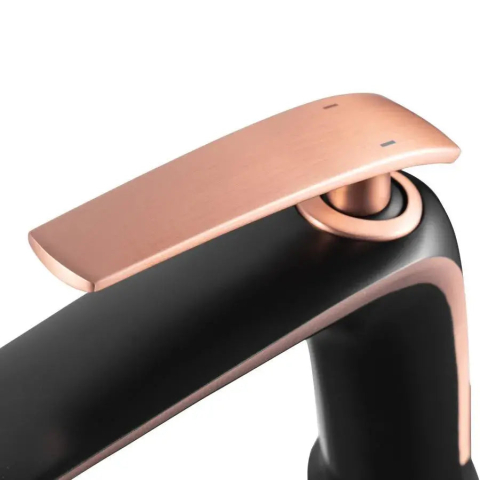 Baterie Lavoar, Alama Sanitara, Negru, MP015H-M [2]