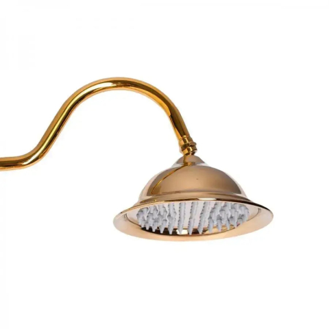 Coloana Dus, Alama Sanitara, Auriu, WZY/310/B [3]