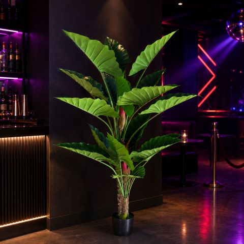 Decoratiune Alocasia, 2 tulpini, Plastic, 190 cm, Verde [1]