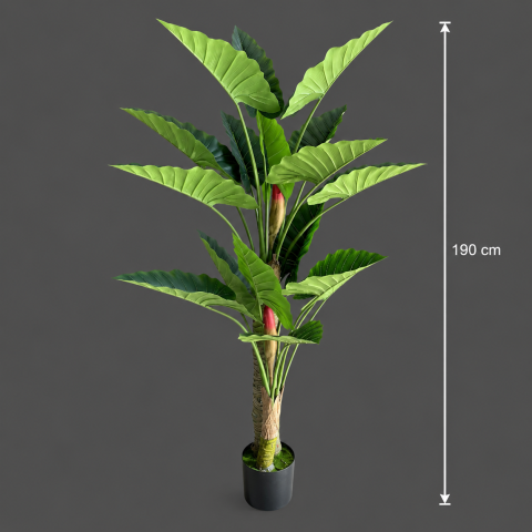 Decoratiune Alocasia, 2 tulpini, Plastic, 190 cm, Verde [3]
