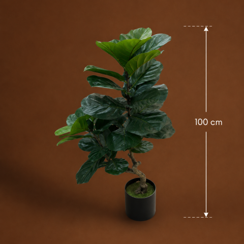 Decoratiune Ficus Lyrata, Ramificatie, 2 Ramuri, Plastic, 100 cm, Verde [3]