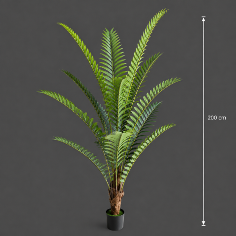 Decoratiune Roystonea Regia, 200 cm, 15 frunze, Verde [3]