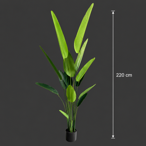 Decoratiune Strelitzia Nicolai, 220 cm, 13 frunze, Verde [3]