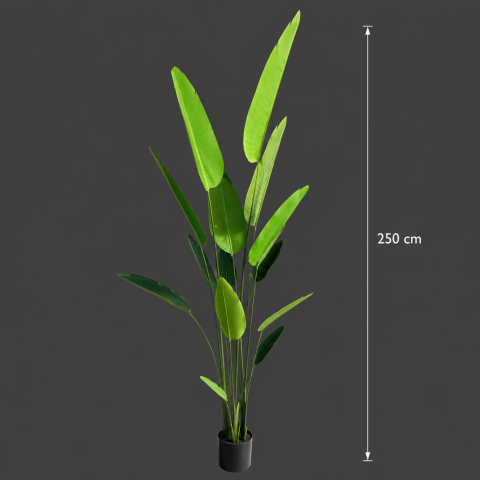 Decoratiune Strelitzia Nicolai, 250 cm, Verde [3]