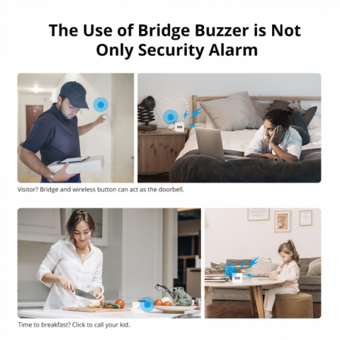 Hub Smart Zigbee Sonoff ZB Bridge-P, Pro, Zigbee 3.0 [7]