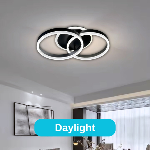 Lustra LED cu telecomanda RIGA LILITH 34W, 2 Cercuri, lumina Rece/Calda/Neutra, Dimabila, Negru [2]