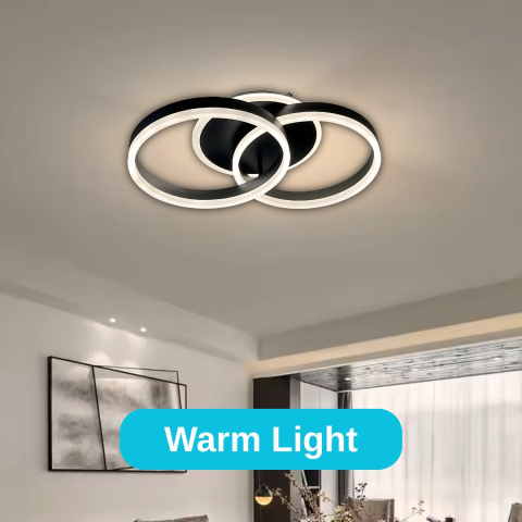 Lustra LED cu telecomanda RIGA LILITH 34W, 2 Cercuri, lumina Rece/Calda/Neutra, Dimabila, Negru [3]