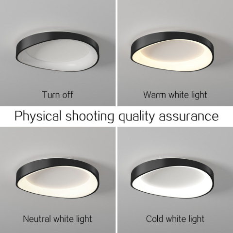 Plafoniera LED cu Telecomanda, PL103/520BK, 29W, Diametru 50cm, Lumina Calda/Rece/Neutra, Negru [2]