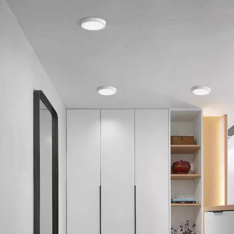 Lustre LED Moderne - Plafoniera LED de Tavan Rotunda, 36W, 22cm, 6000K, Metal Alb – Lumina Rece