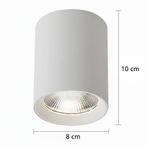 Proiector LED TINNIE, Fix, 8W, Lumina Neutra 4000K, Alb [3]