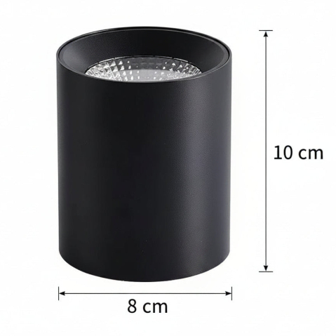 Proiector LED TINNIE, Fix, 8W, Lumina Neutra 4000K, Negru [3]