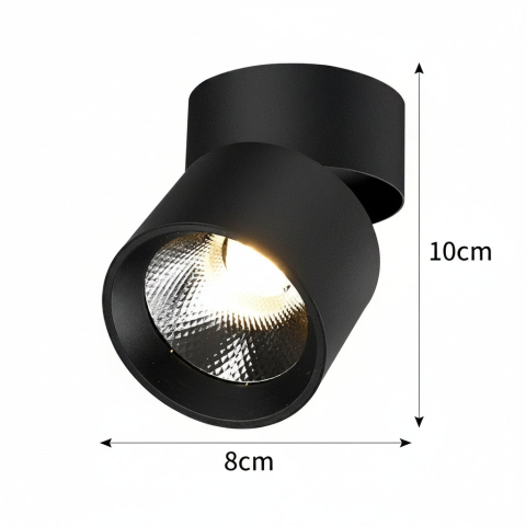 Proiector LED TINNIE, Rotativ, 9W, Lumina Neutra 4000K, Negru [3]