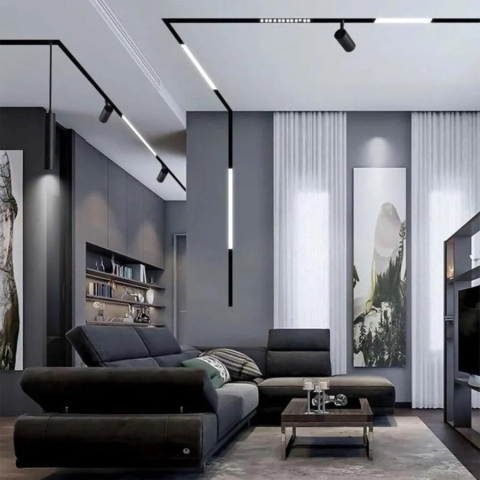 Sina Incastrata pentru Proiectoare Magnetice, 2m, Negru [3]