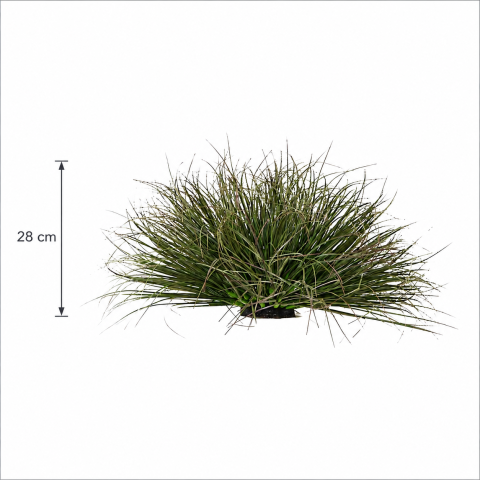 Tufa Artificiala de Iarba, 28 cm, Iarba Tip Ceapa Curbata, Densitate Redusa, Plastic, Verde Inchis [2]