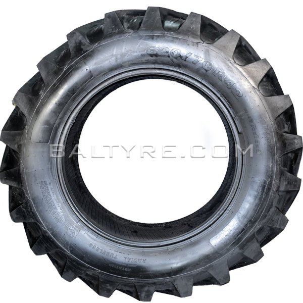 GT 620/75R30 RS220 163/161A8/B TL [5]