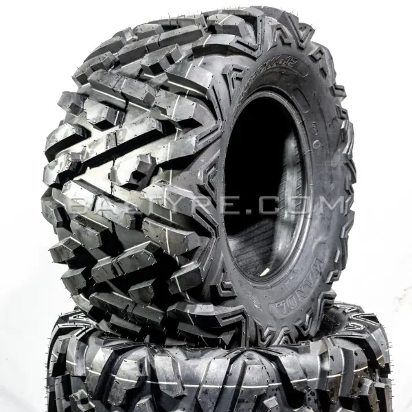 WA AT25x8,00-12 P350 43J 6PR TL [4]