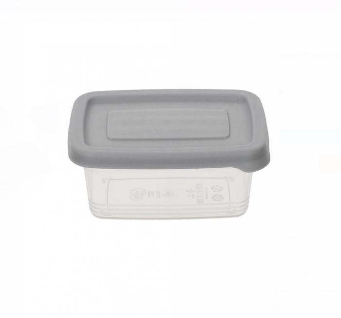 Set 4 Caserole din Plastic Transparent cu Capac Gri, 120ml [4]