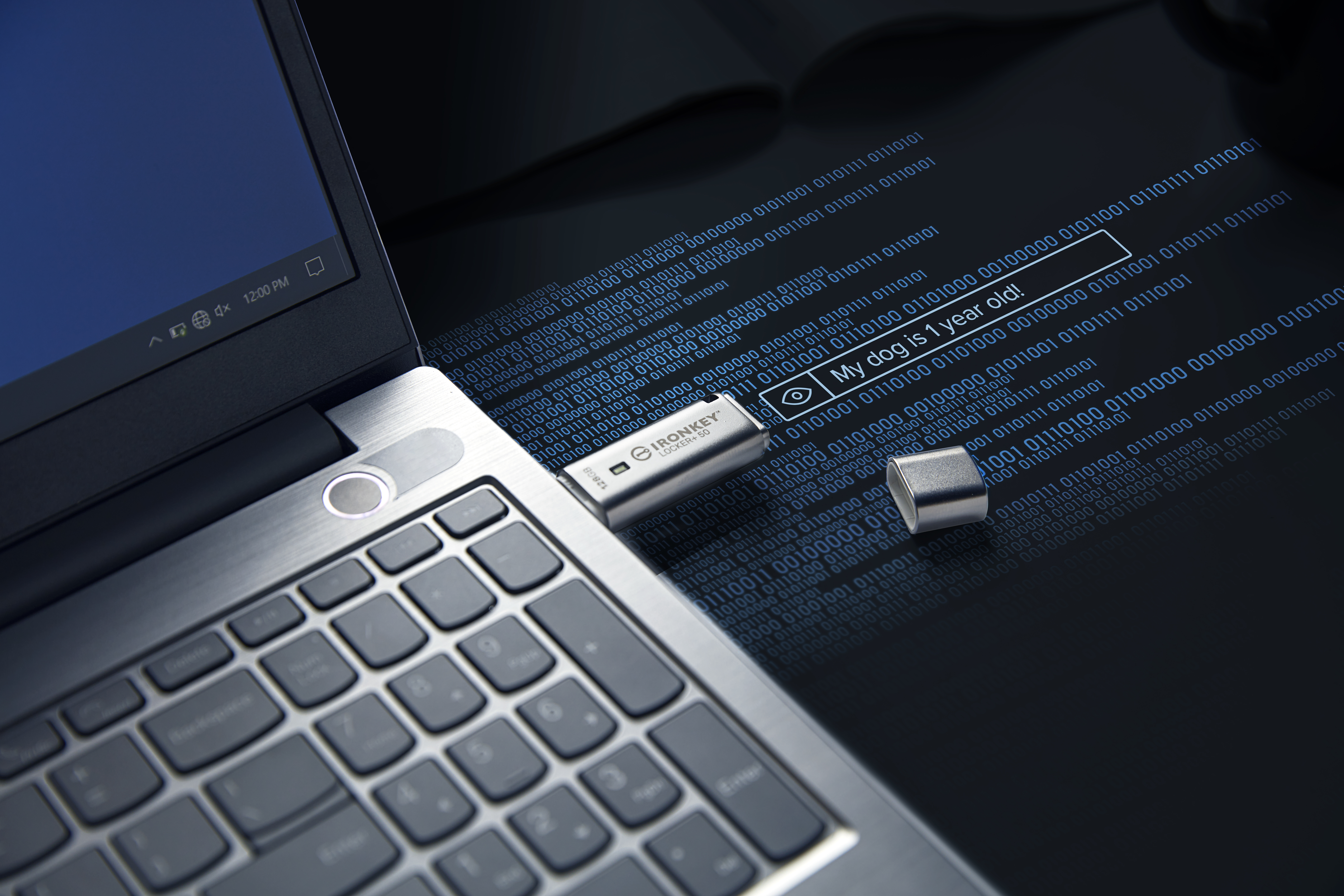 Memorie USB Kingston IronKey Locker+ 50 128GB, USB Type-A, Argintiu [10]
