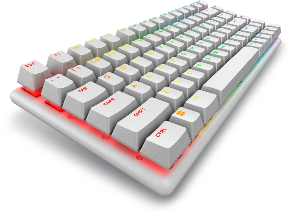 Alienware Pro Wireless Gaming keyboard USB + RF Wireless + Bluetooth White [6]