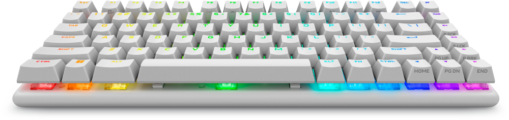 Alienware Pro Wireless Gaming keyboard USB + RF Wireless + Bluetooth White [7]