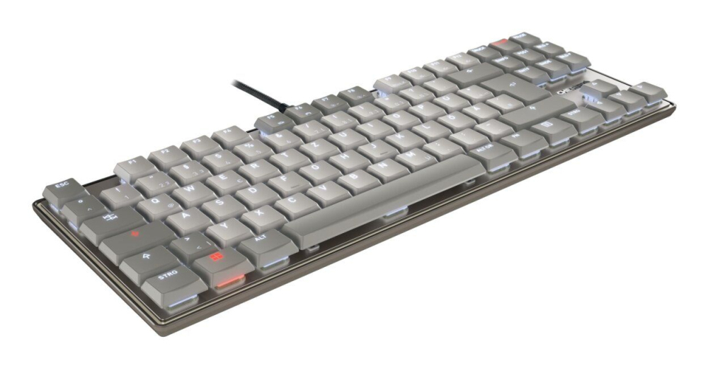 CHERRY KC 500 MX LP TKL keyboard Home/Office USB QWERTZ German Grey [3]
