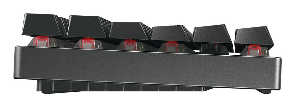 CHERRY MX 8.2 TKL Wireless RGB keyboard Gaming USB + RF Wireless + Bluetooth QWERTZ German Black [5]