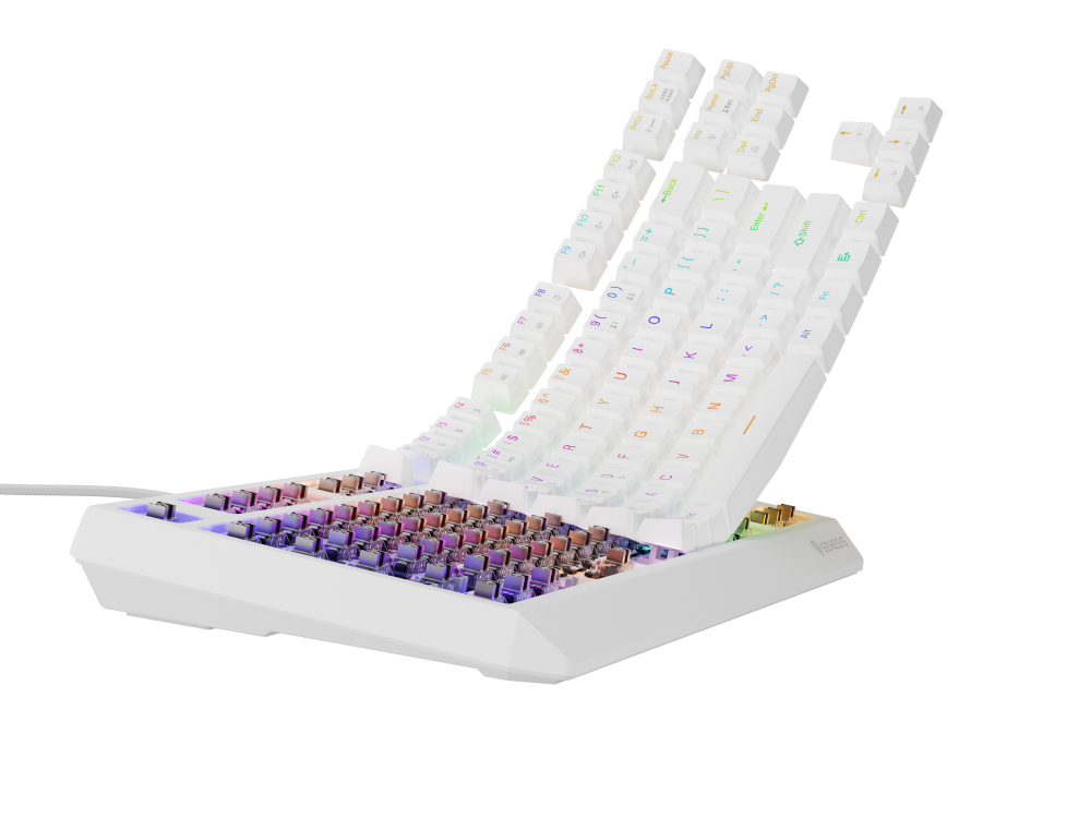 GENESIS Thor 230 TKL keyboard Gaming USB + RF Wireless + Bluetooth QWERTY White [9]