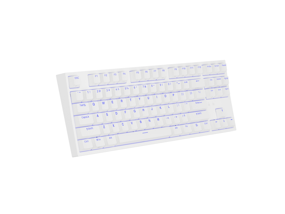 GENESIS Thor 404 TKL keyboard Gaming USB QWERTY US International White [8]