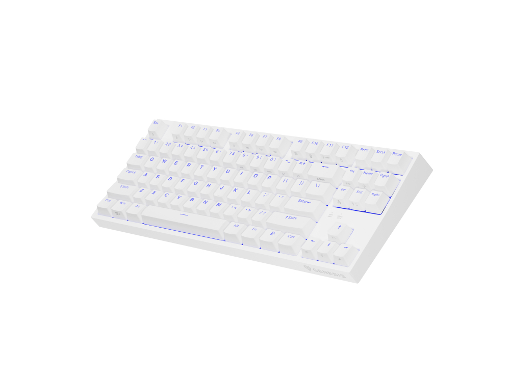 GENESIS Thor 404 TKL keyboard Gaming USB QWERTY US International White [10]