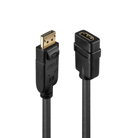 Conectica - Adaptor Lindy LY-41005, DisplayPort 1.2 to HDMI 1.3, negru