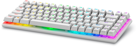 Tastaturi - Alienware Pro Wireless Gaming keyboard USB + RF Wireless + Bluetooth White