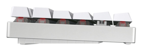 CHERRY MX 8.2 TKL Wireless RGB keyboard Gaming USB + RF Wireless + Bluetooth QWERTZ German White [3]