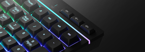 GENESIS Rhod 530 [11]