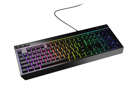 PC, Periferice & Software - GENESIS Rhod 530