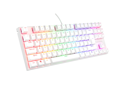 GENESIS Thor 303 TKL keyboard Gaming USB QWERTY US International White [1]