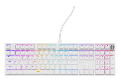 GENESIS THOR 404 keyboard Universal USB QWERTY English White [2]