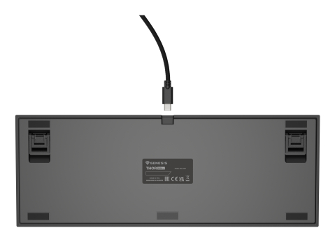 GENESIS Thor 404 TKL keyboard Gaming USB QWERTY US International Black [5]