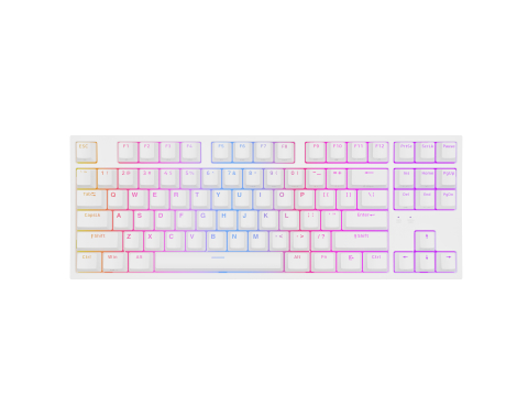 GENESIS Thor 404 TKL keyboard Gaming USB QWERTY US International White [2]