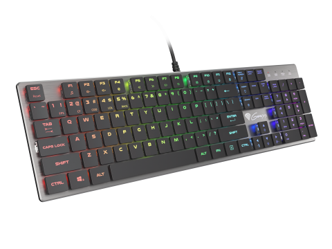 PC, Periferice & Software - GENESIS Thor 420 RGB keyboard Gaming USB QWERTY US International Silver