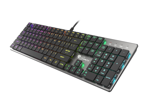 GENESIS Thor 420 RGB keyboard Gaming USB QWERTY US International Silver [3]