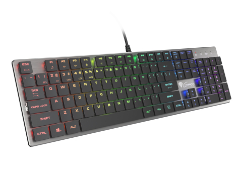 GENESIS Thor 420 RGB keyboard Gaming USB QWERTY US International Silver [1]