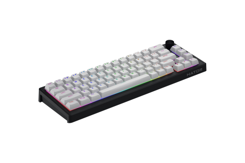 HATOR Skyfall 65 MAG ULTRA 8K keyboard Gaming USB QWERTY US English Black, White [4]