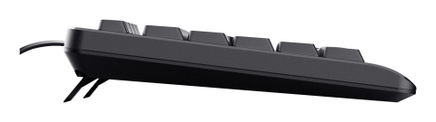 Trust 24639 keyboard Office USB No US English Black [4]