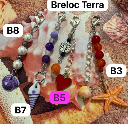 Breloc-Terra [2]