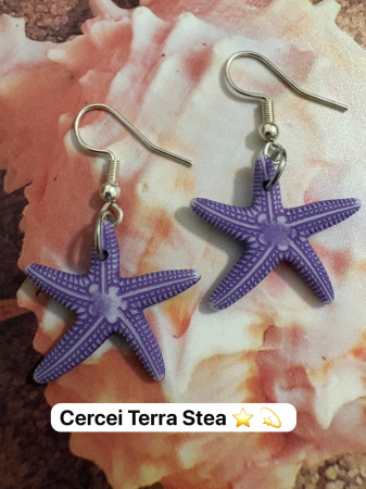 TERRA24 -  cercei-terra-personalizati